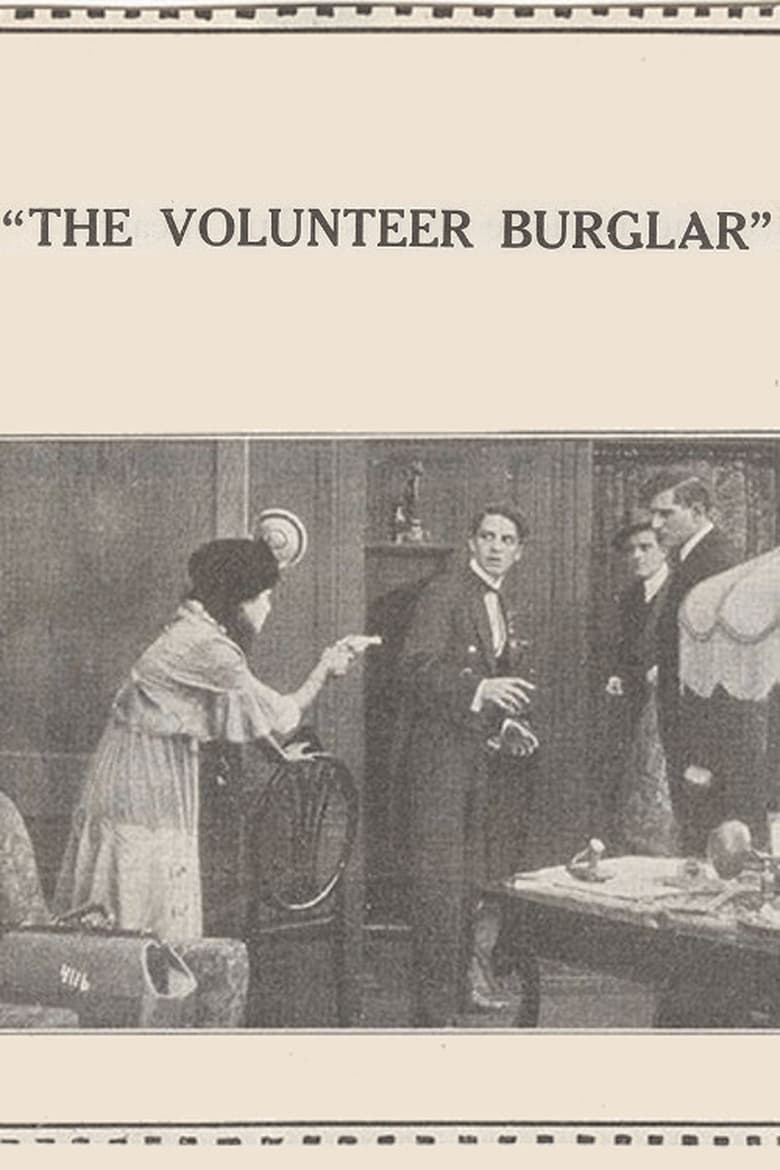 Poster of The Volunteer Burglar