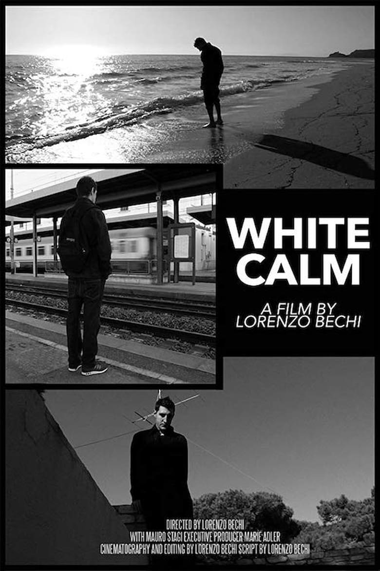 Poster of White Calm