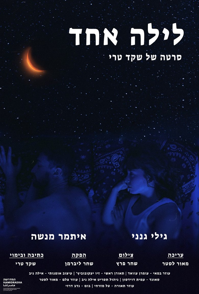 Poster of One Night