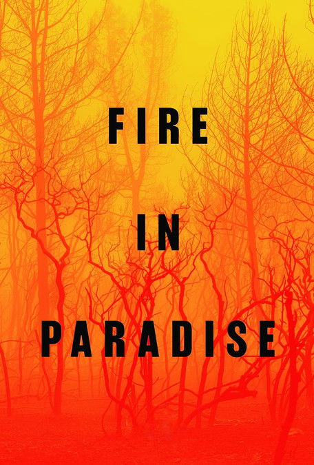 Poster of Fire in Paradise