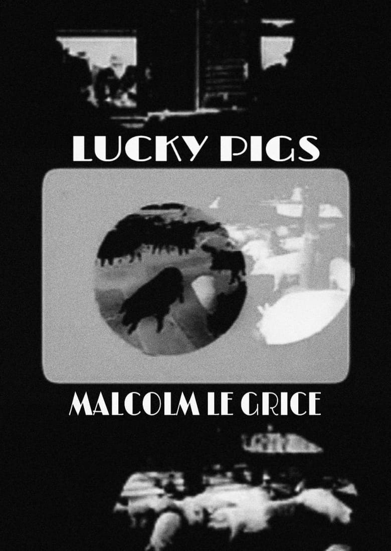 Poster of Lucky Pigs