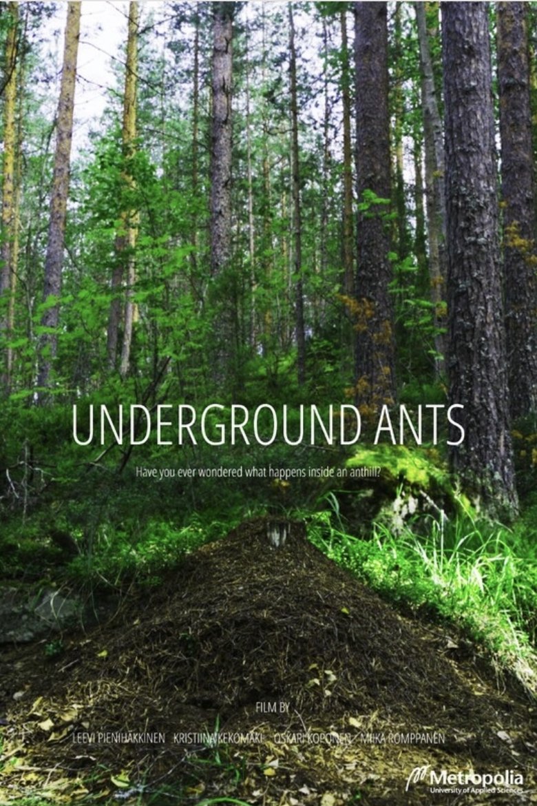 Poster of Underground Ants