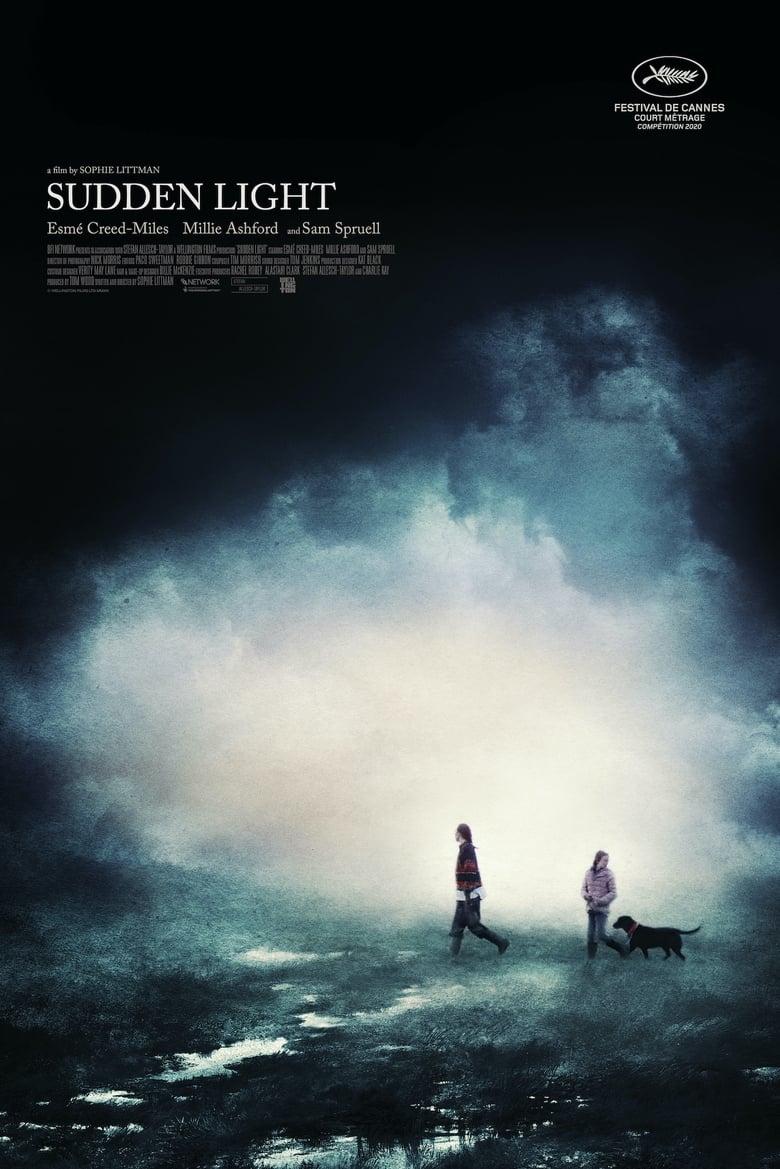 Poster of Sudden Light