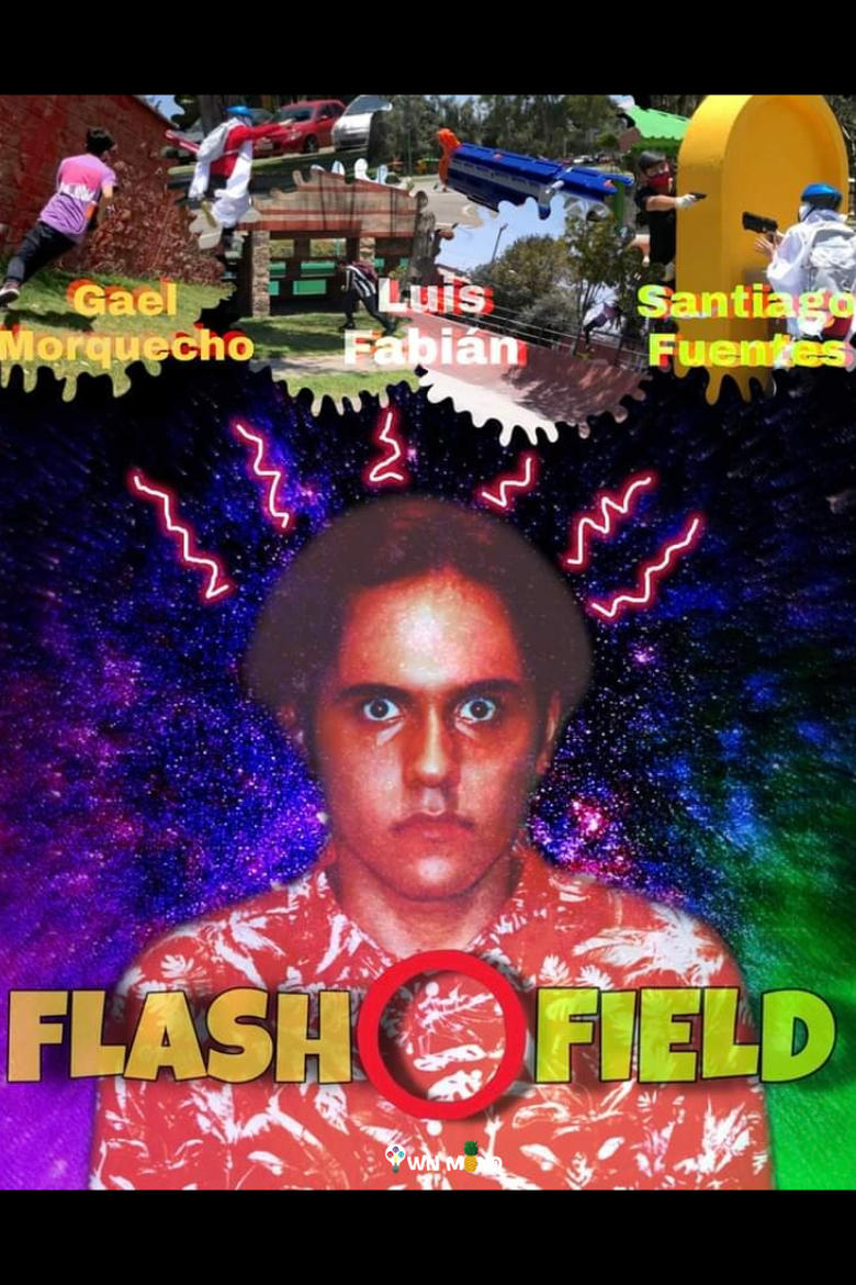 Poster of Flash Field