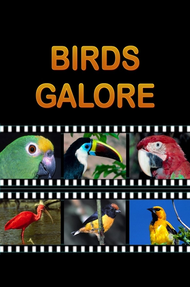 Poster of Birds Galore