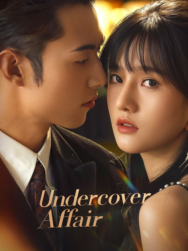 Poster of Undercover Affair