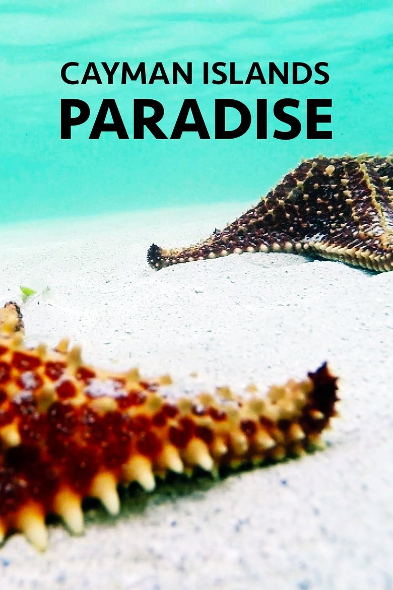 Poster of Cayman Islands: Paradise