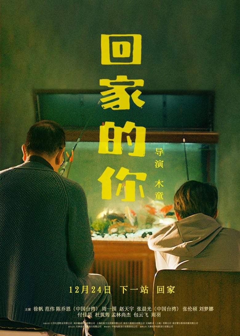 Poster of 回家的你