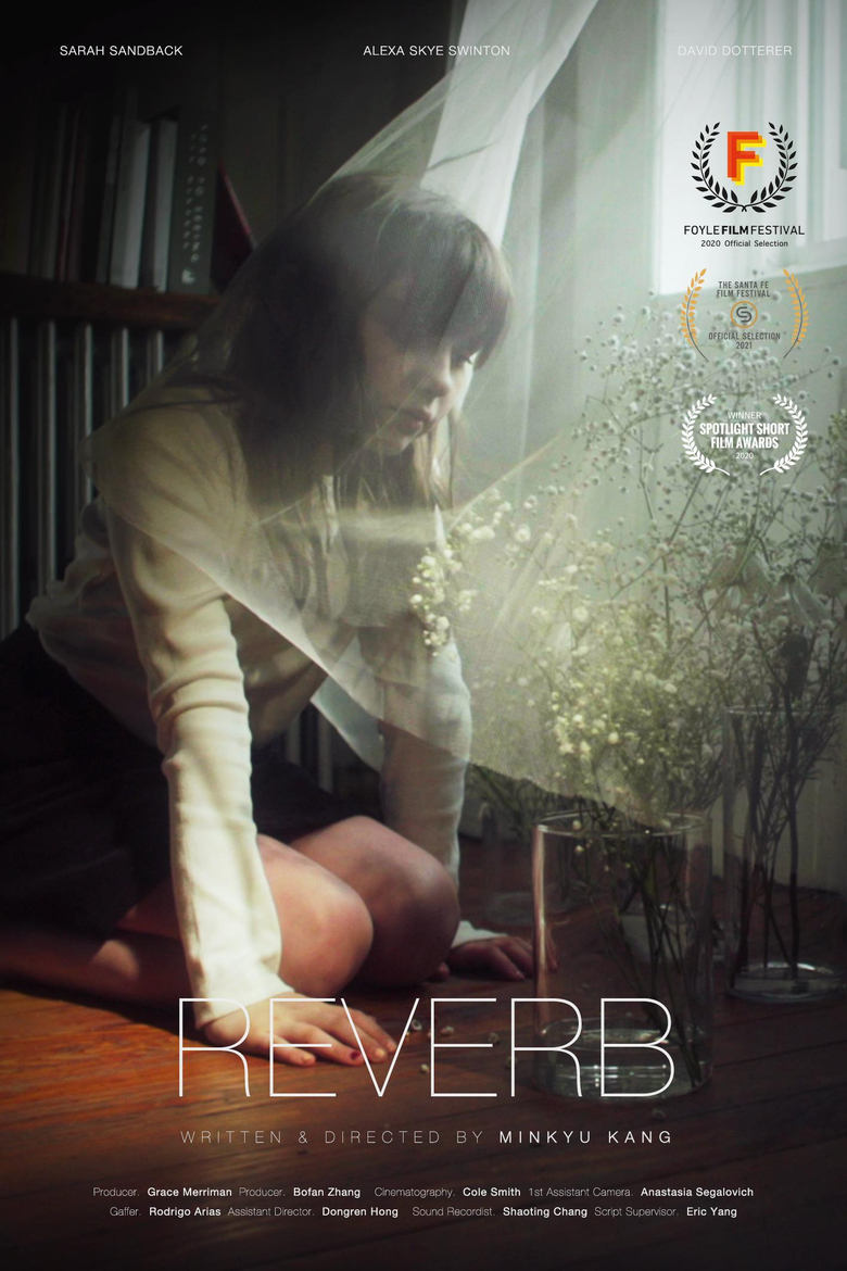 Poster of Reverb