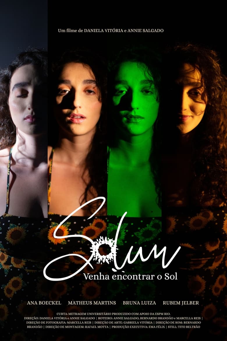 Poster of Solum