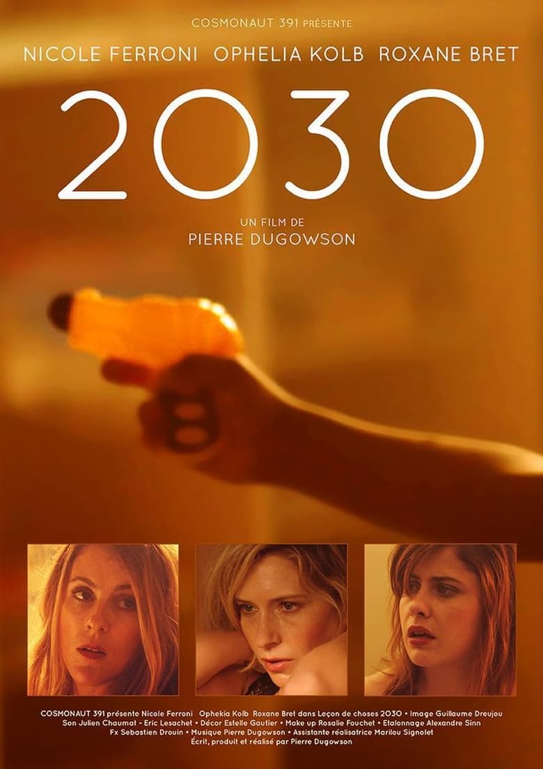 Poster of 2030