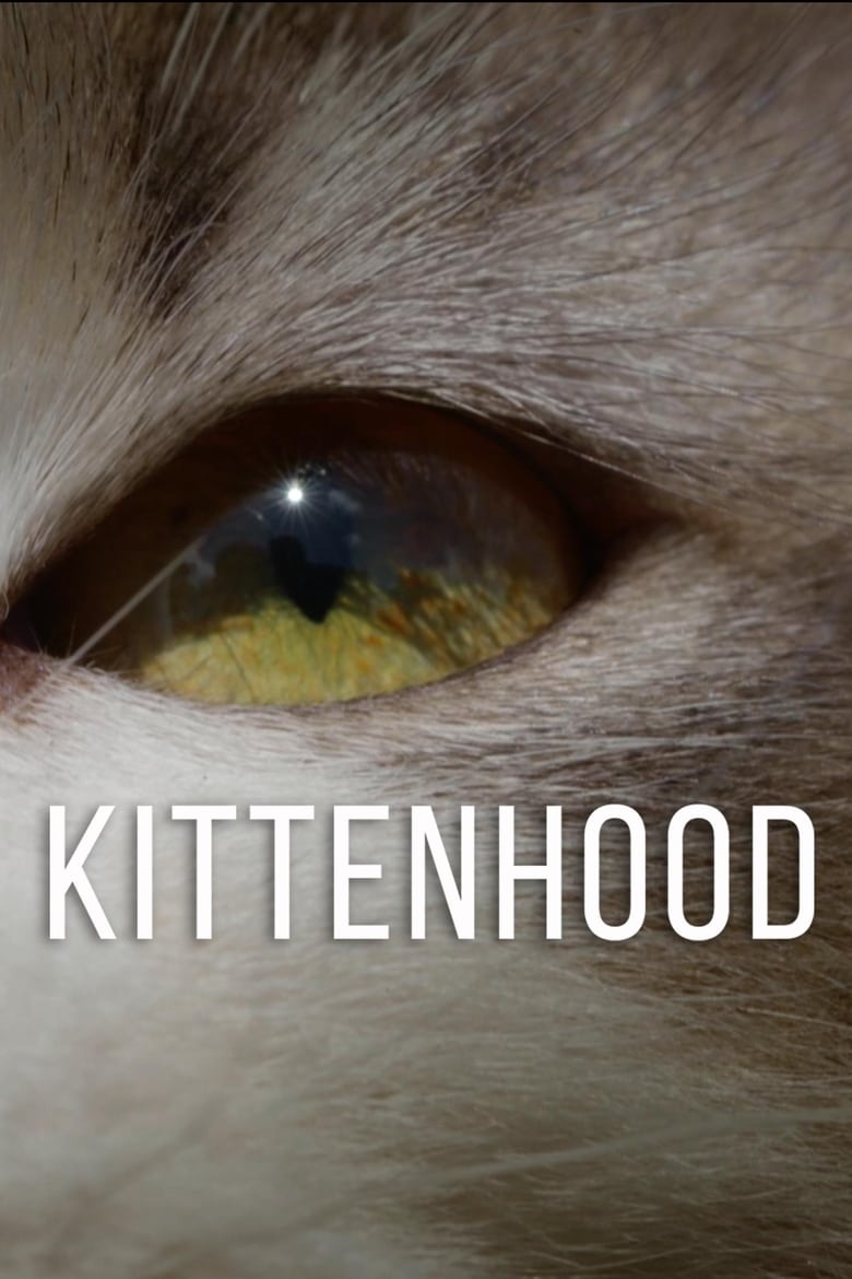 Poster of Kittenhood