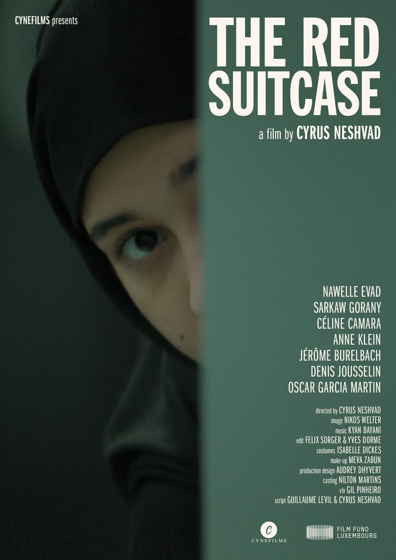 Poster of The Red Suitcase