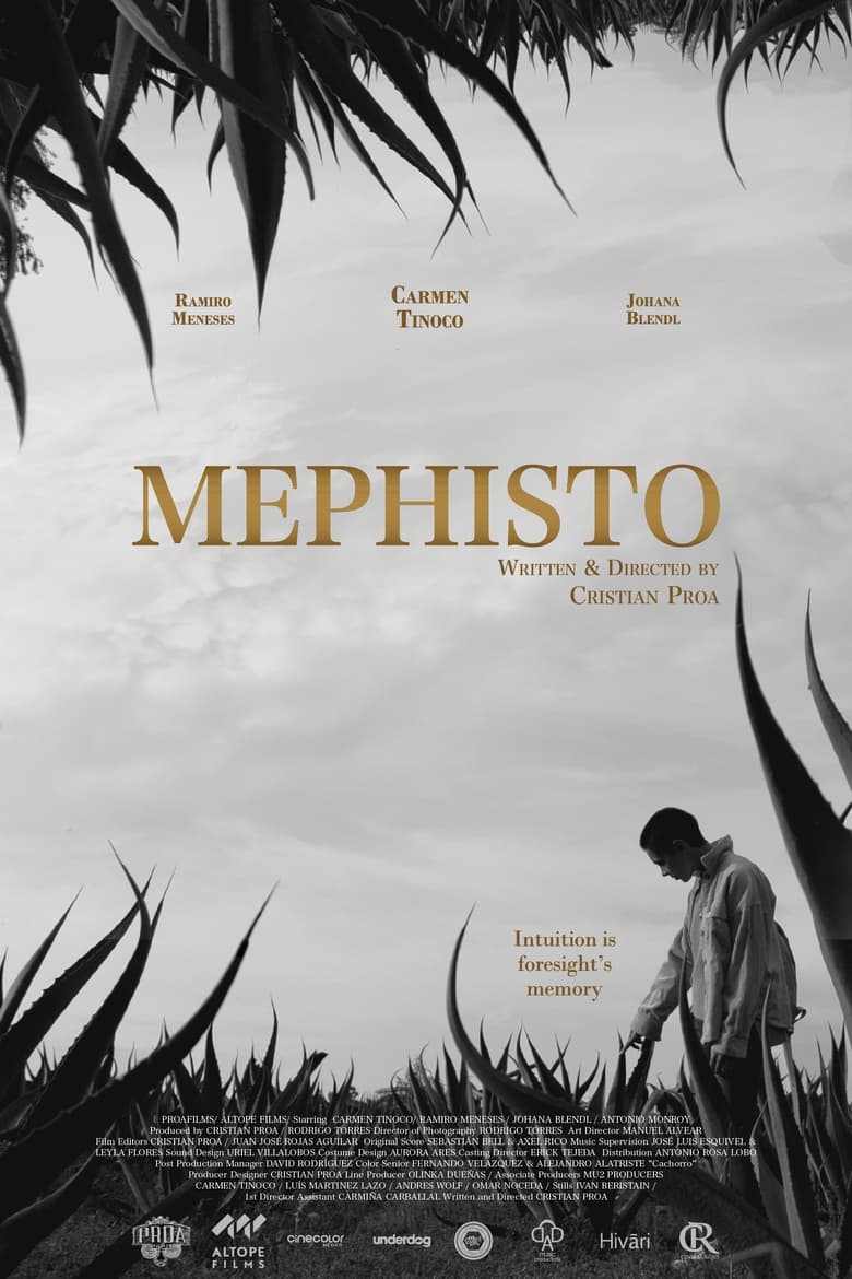 Poster of Mephisto