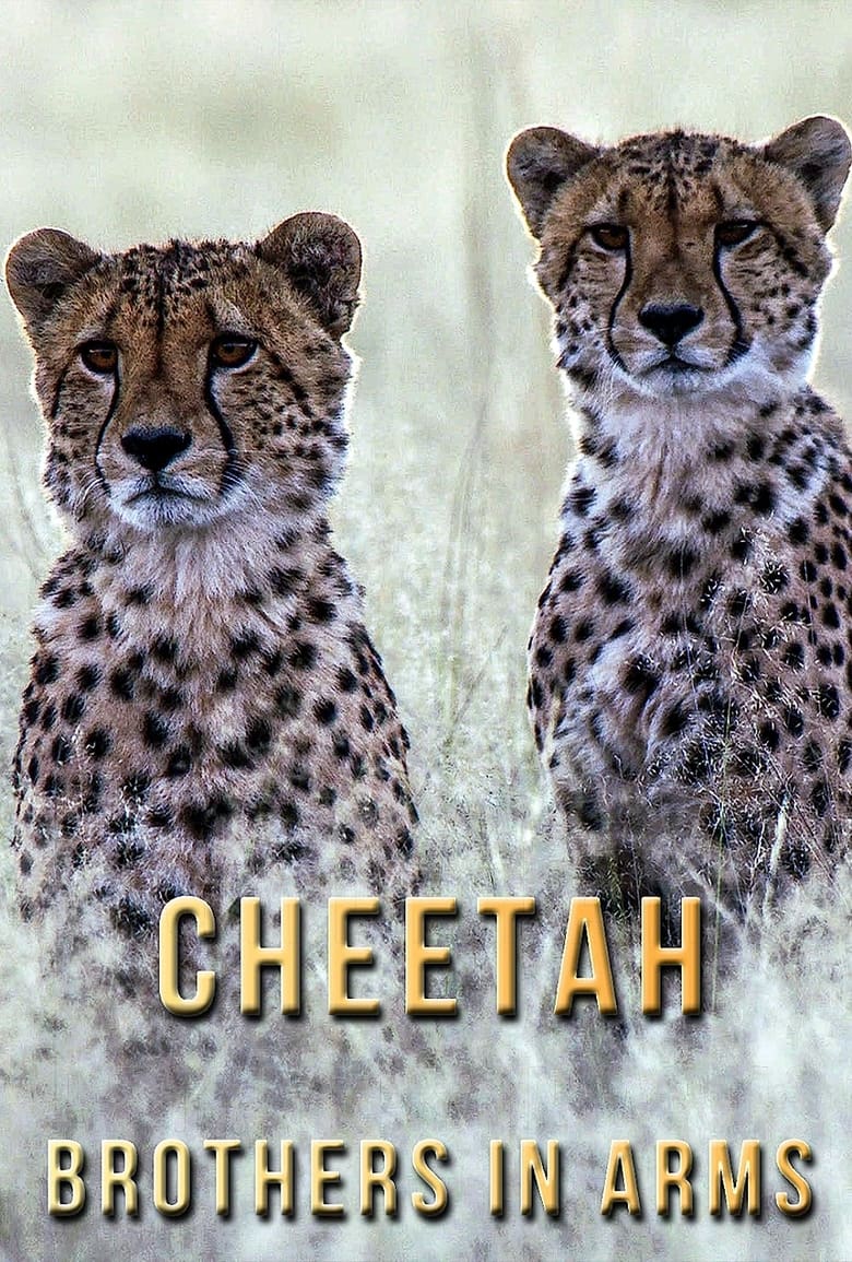 Poster of Cheetah Brothers in Arms