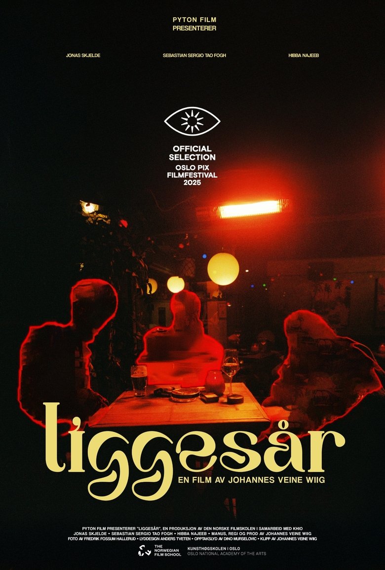 Poster of Liggesår
