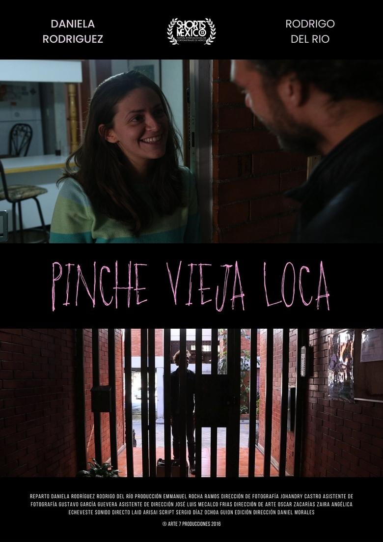 Poster of Pinche Vieja Loca