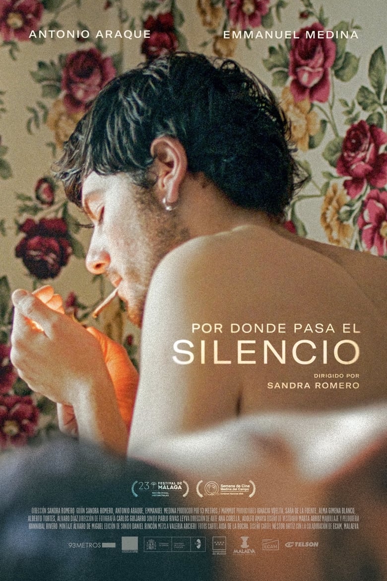 Poster of Where the Silence Passes