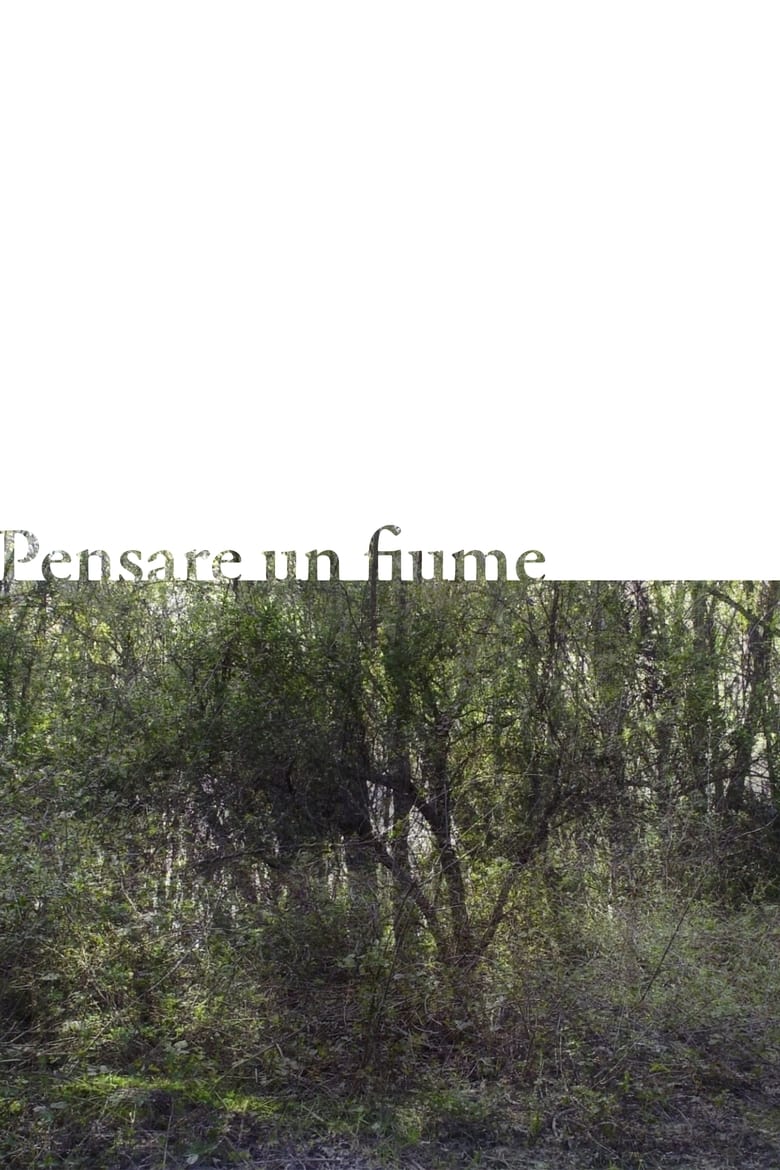 Poster of Pensare un fiume