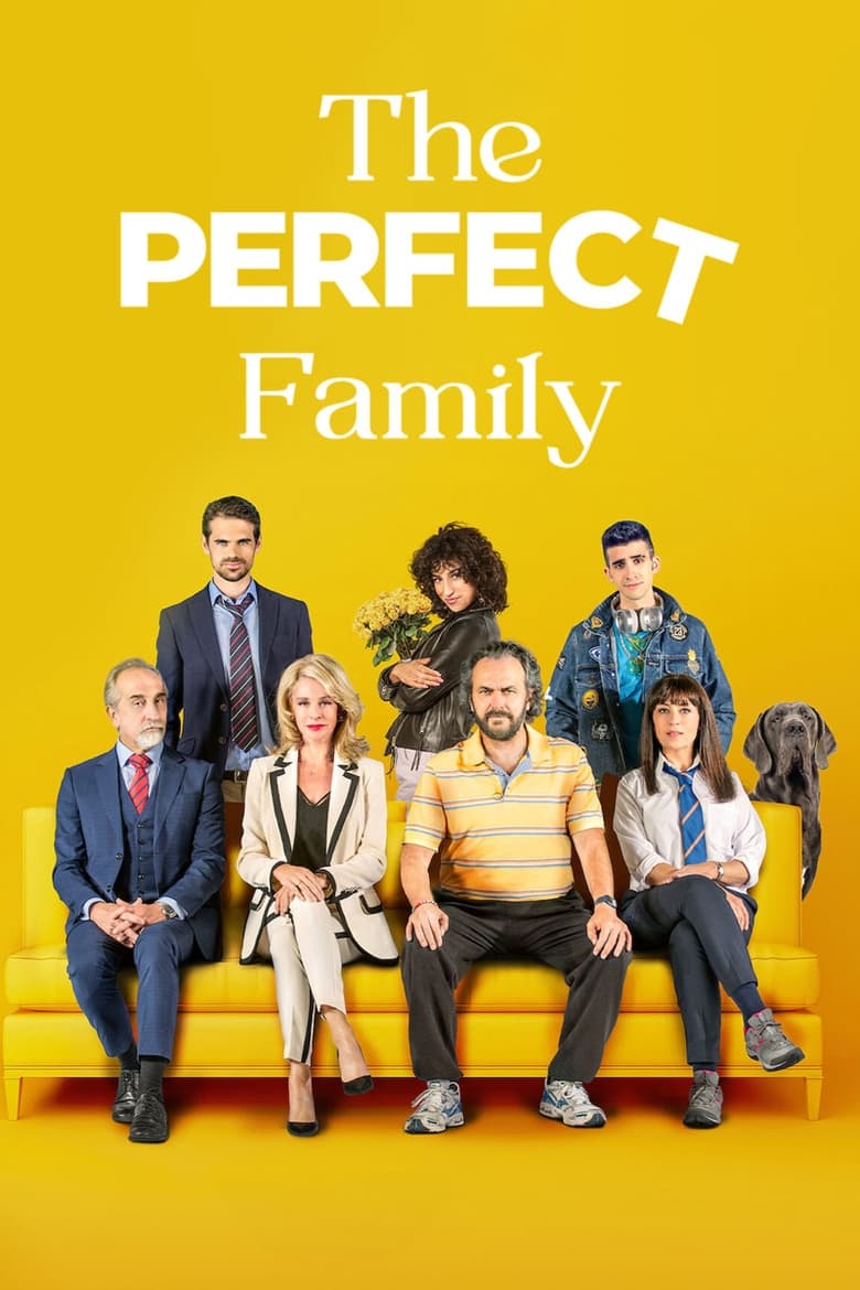 Poster of The Perfect Family