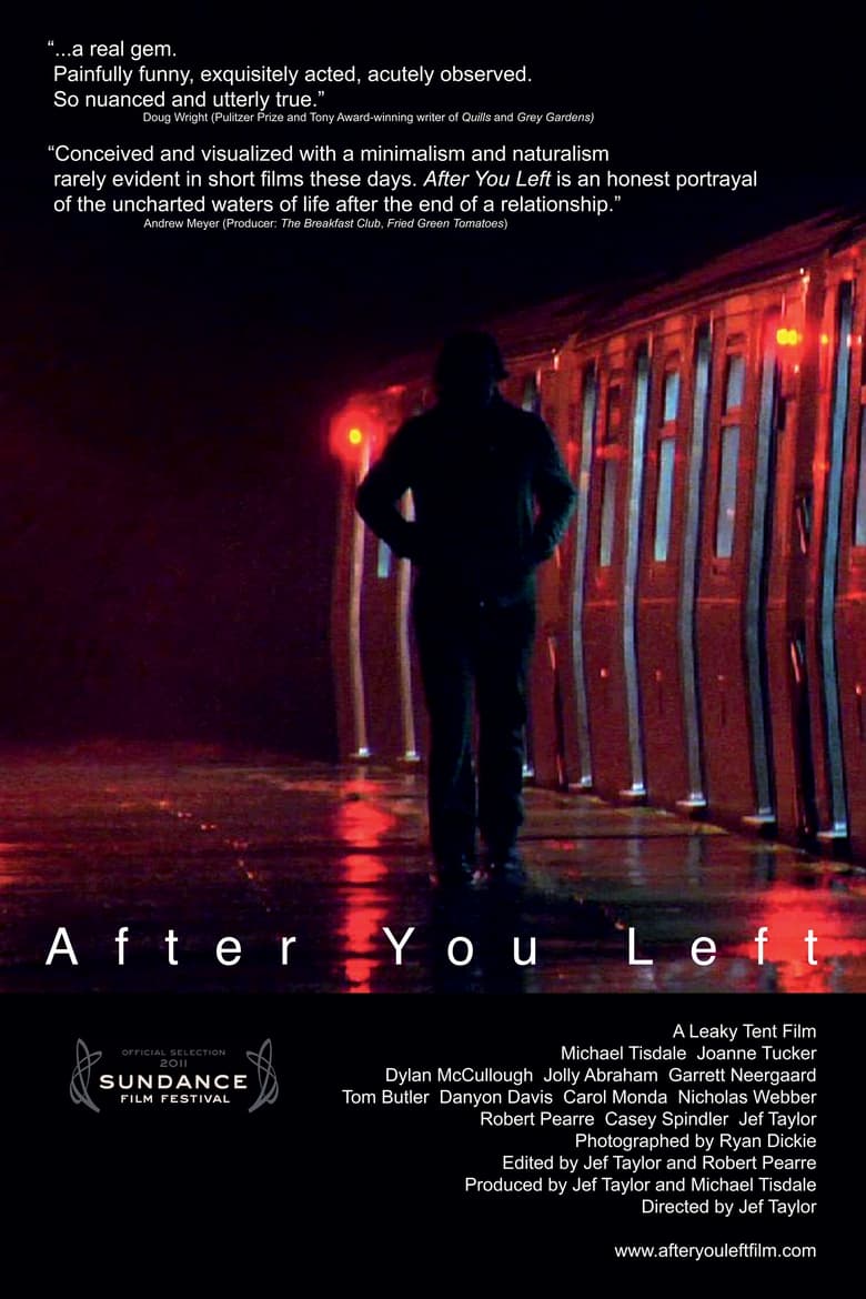 Poster of After You Left