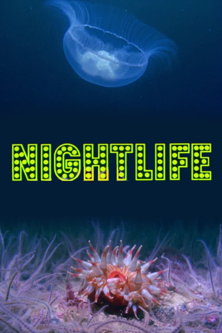 Poster of Nightlife