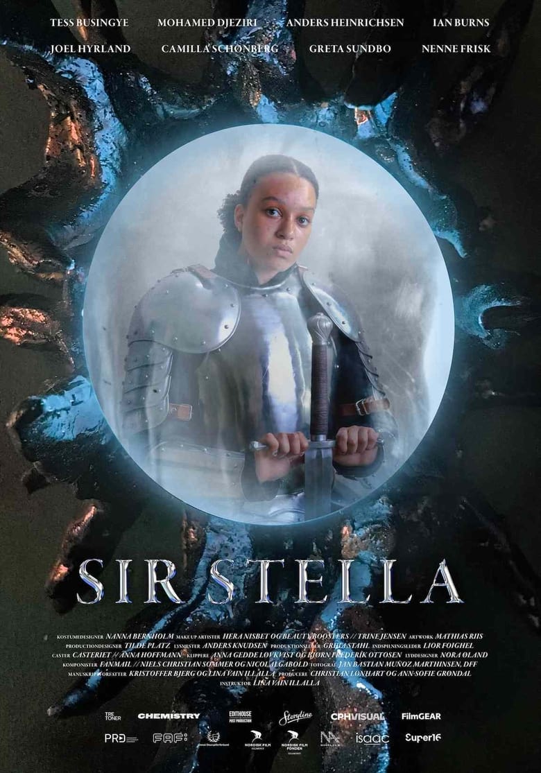 Poster of Sir Stella