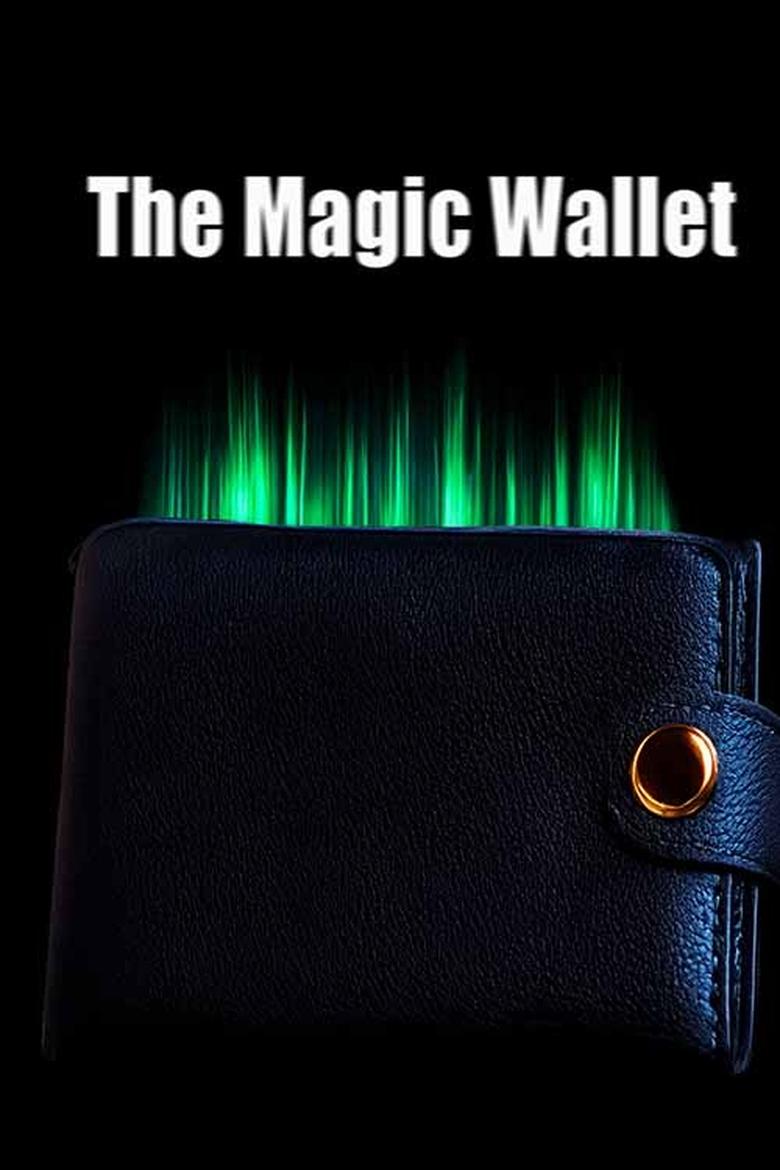 Poster of The Magic Wallet