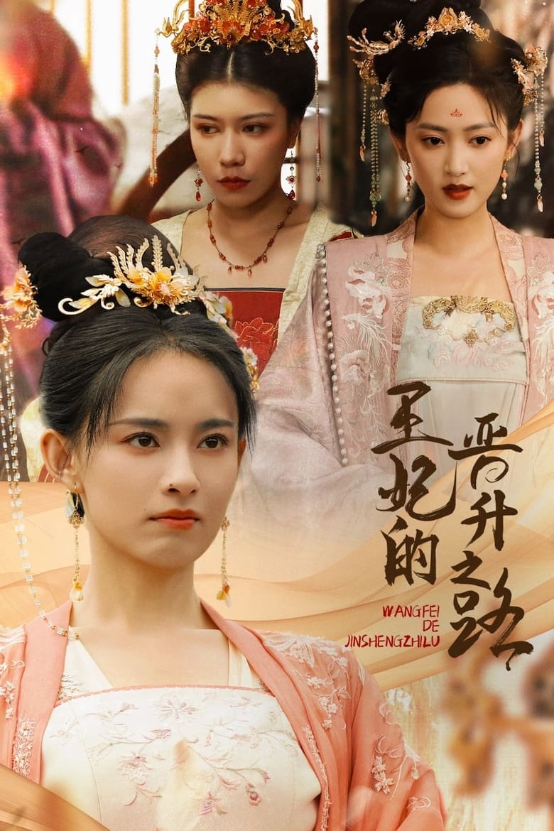 Poster of 王妃的晋升之路