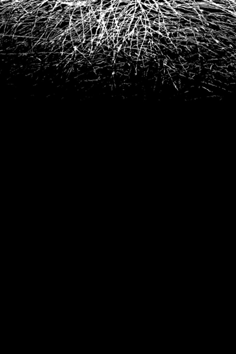 Poster of For When I Think, There Is This Heaviness That I Would Rather You Not Carry