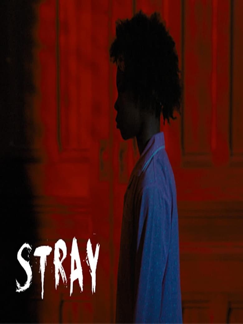 Poster of Stray