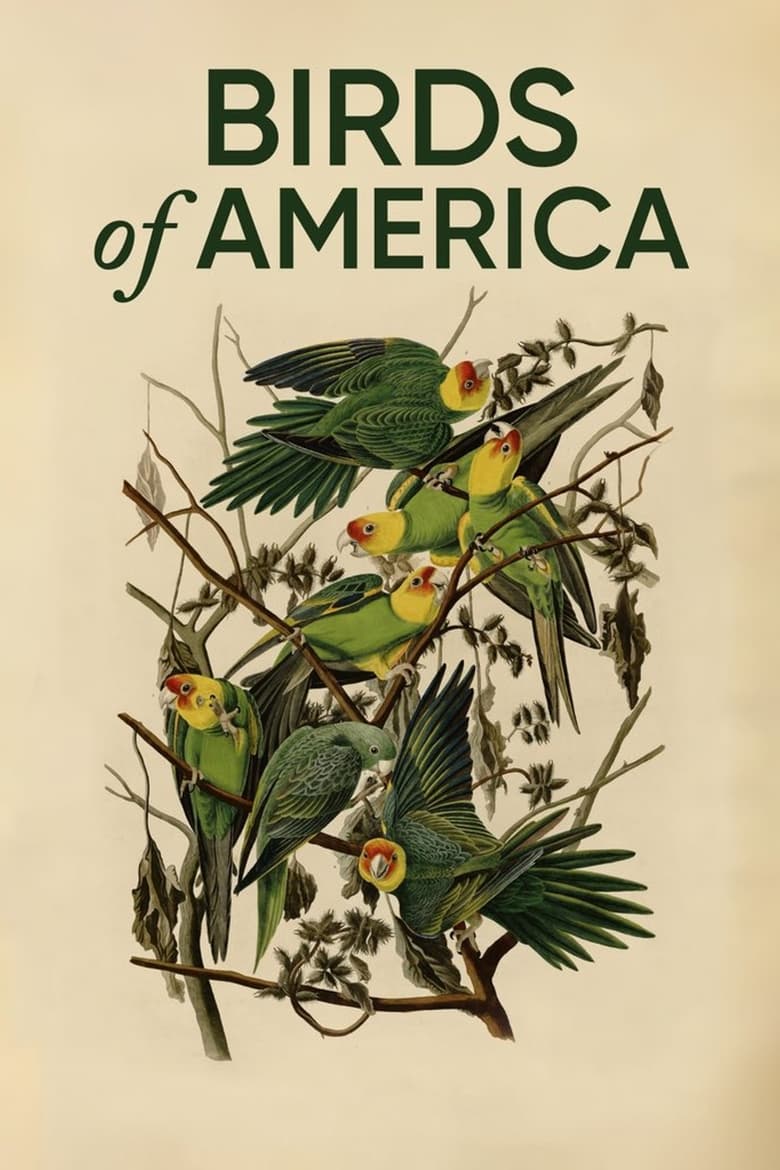 Poster of Birds of America