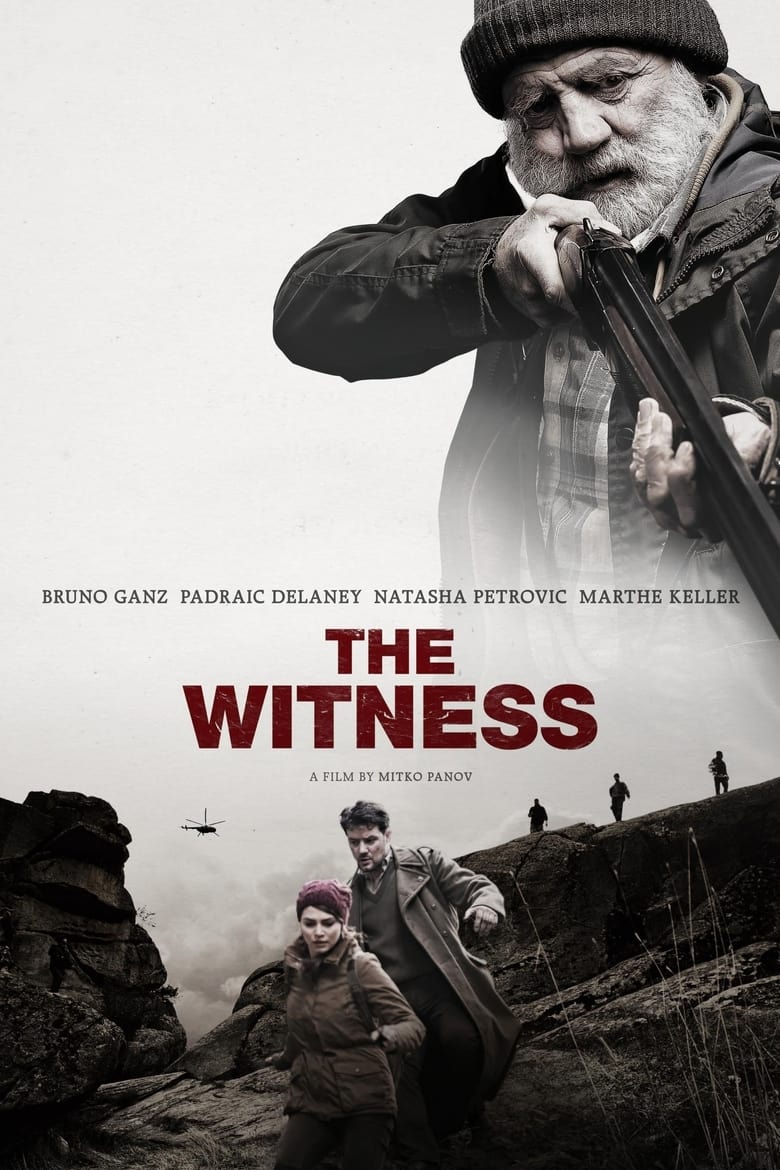 Poster of The Witness