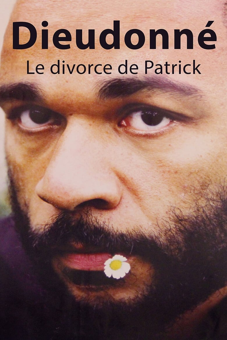 Poster of Dieudonné - Le Divorce de Patrick