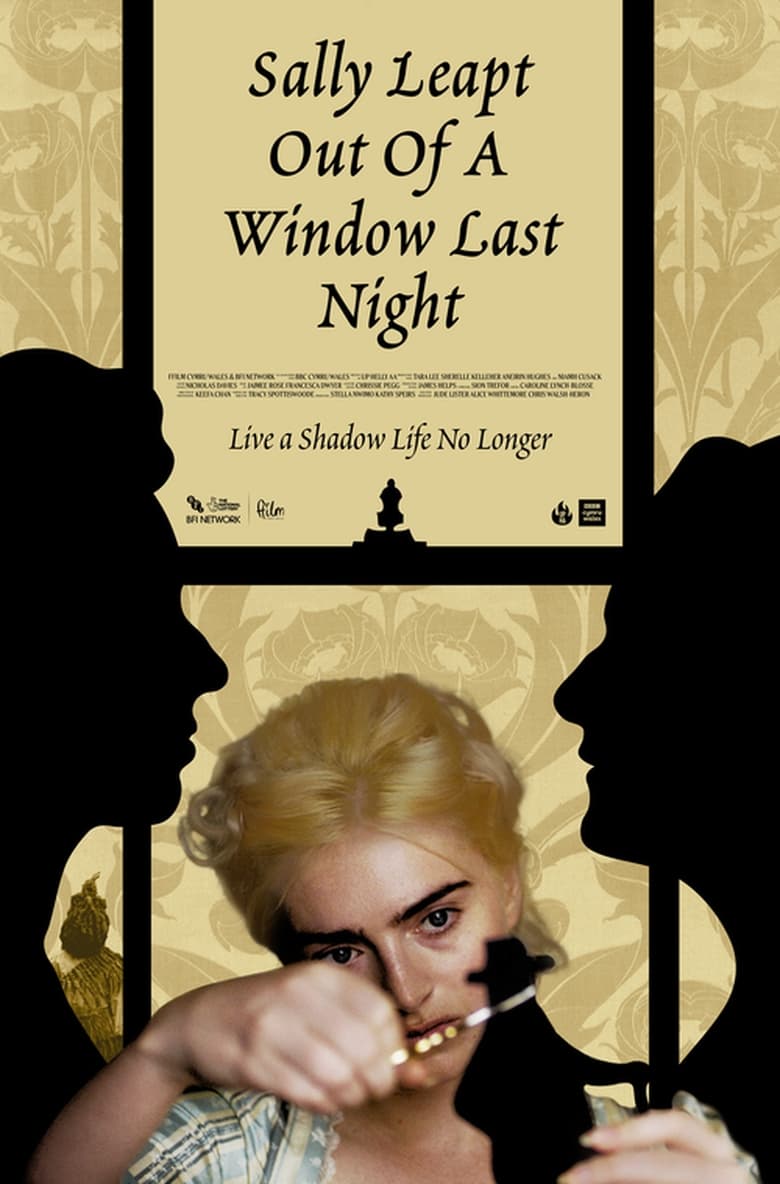 Poster of Sally Leapt Out of a Window Last Night