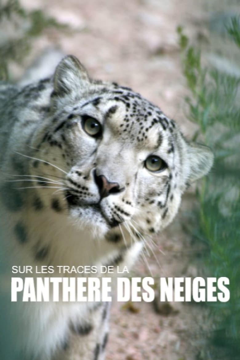 Poster of Sur les traces de la panthère des neiges