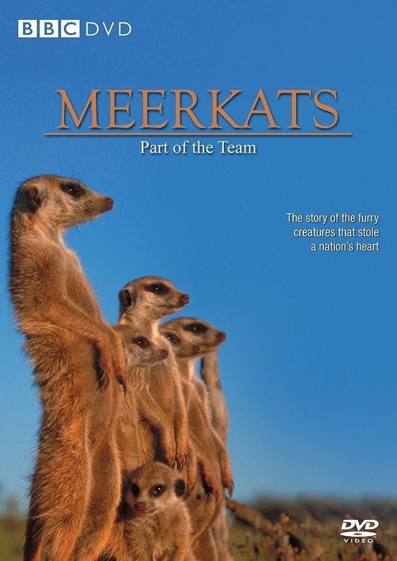 Poster of Meerkats: Part of the Team