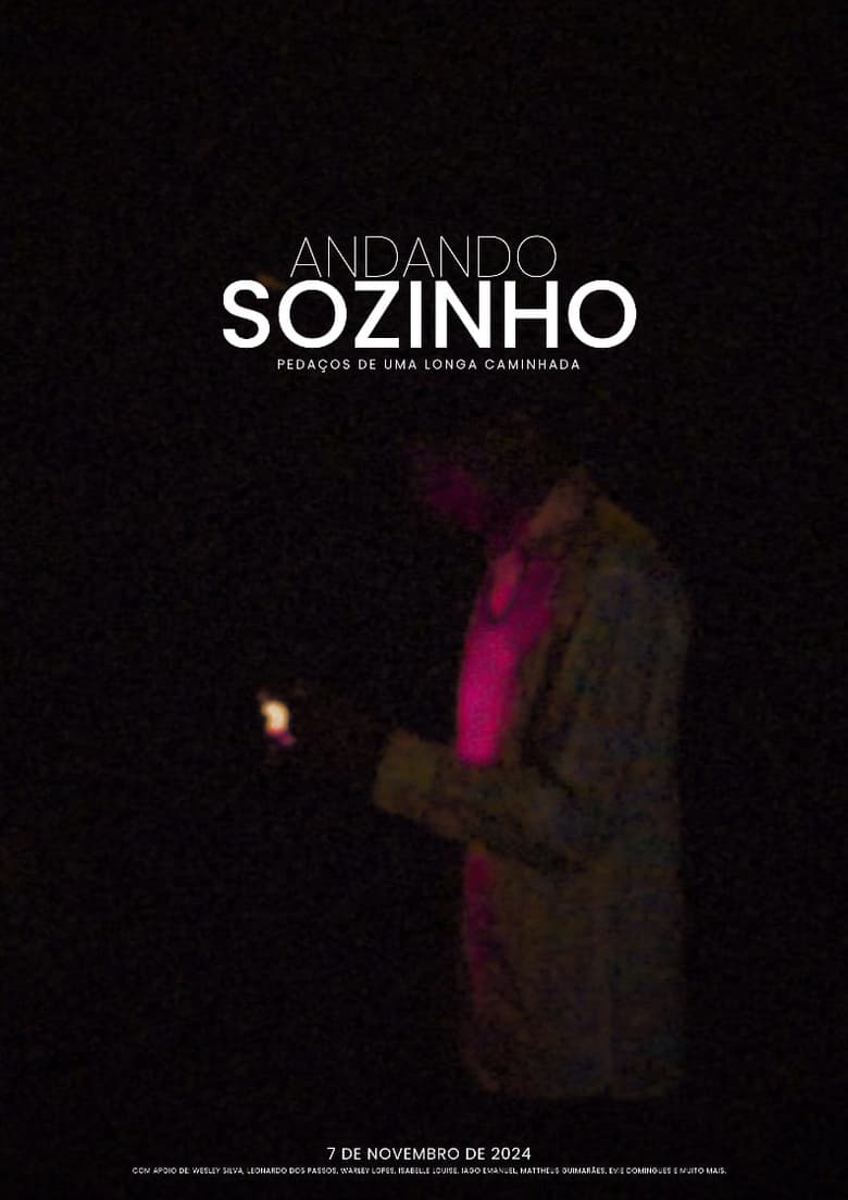 Poster of Caminhando Sozinho