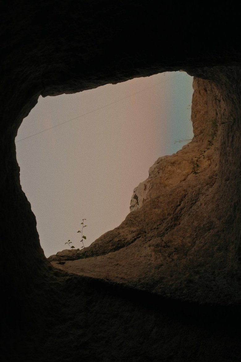 Poster of Siticulosa