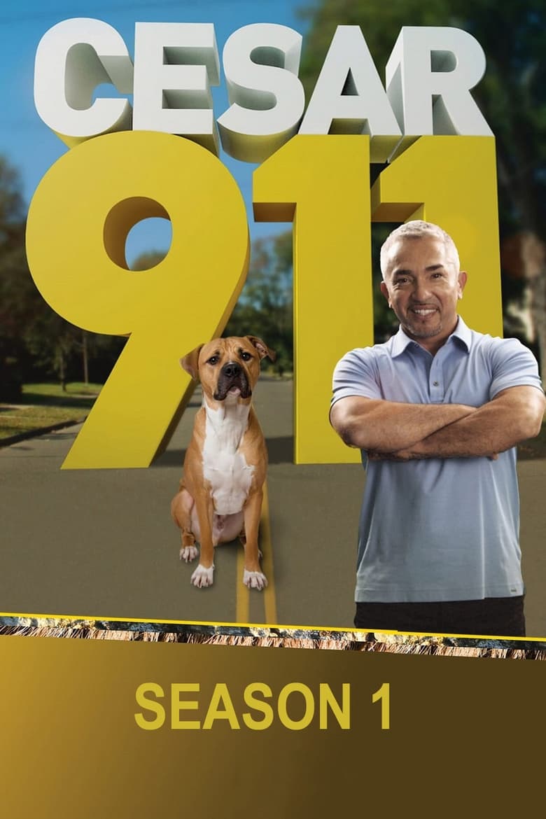 Poster of Episodes in Cesar 911 - Season 1 - Season 1