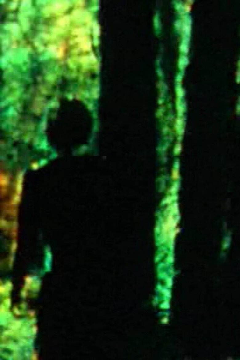Poster of Meandering