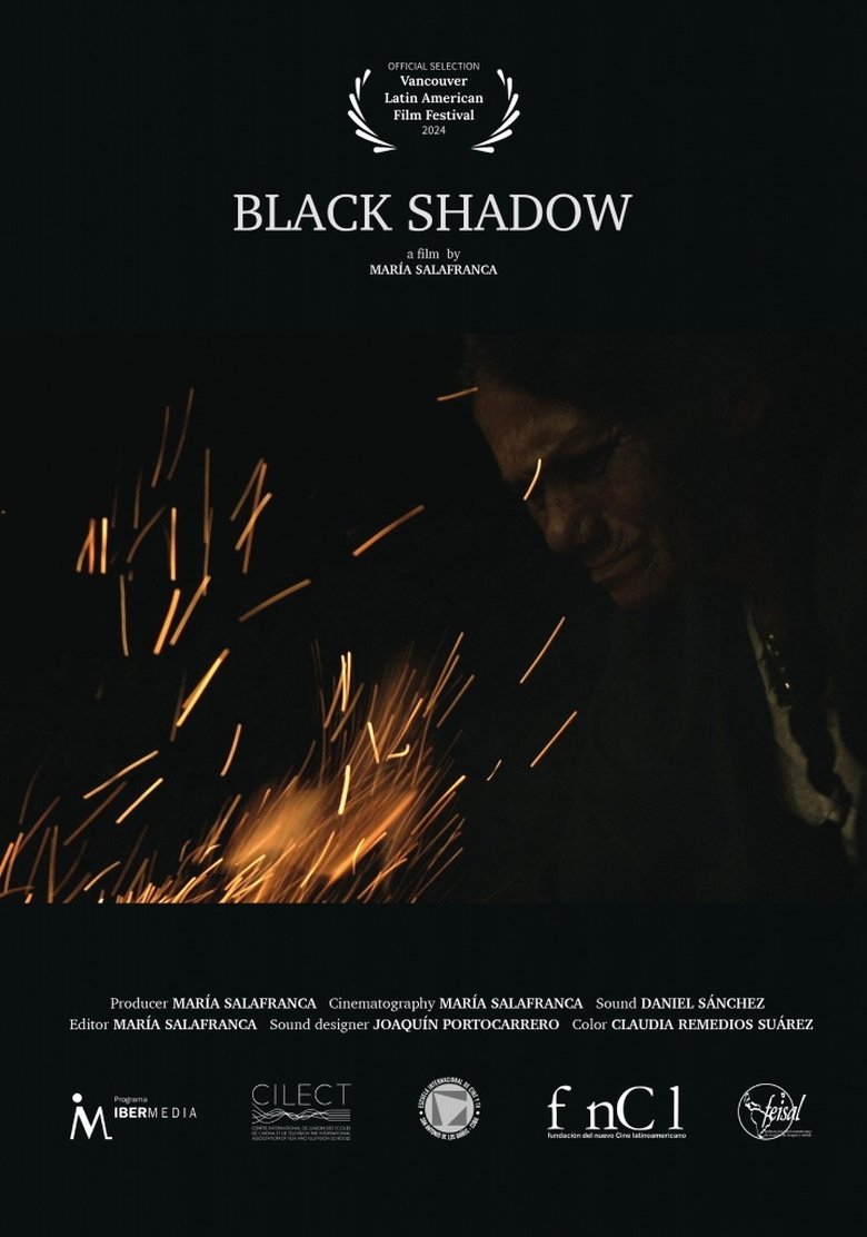 Poster of Black Shadow