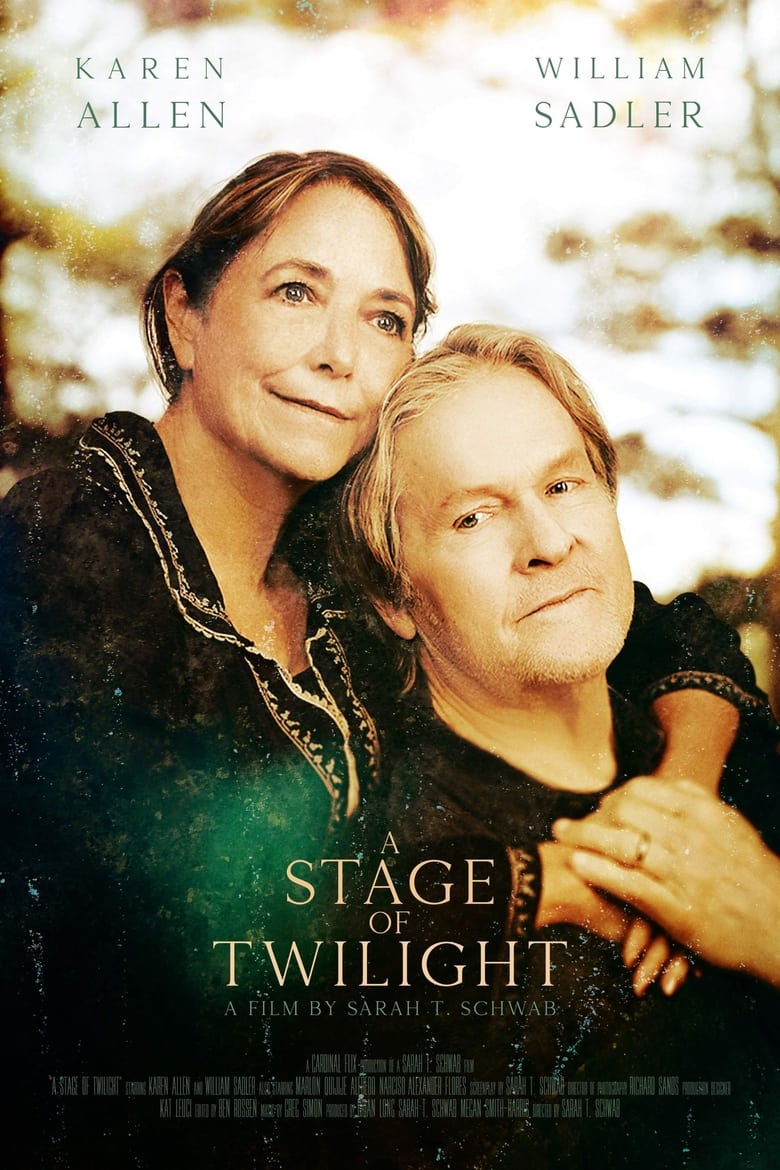 Poster of A Stage of Twilight