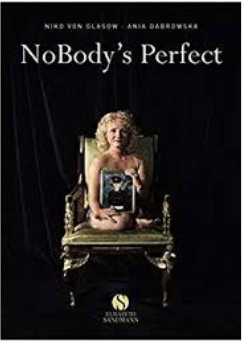 Poster of NoBody's Perfect