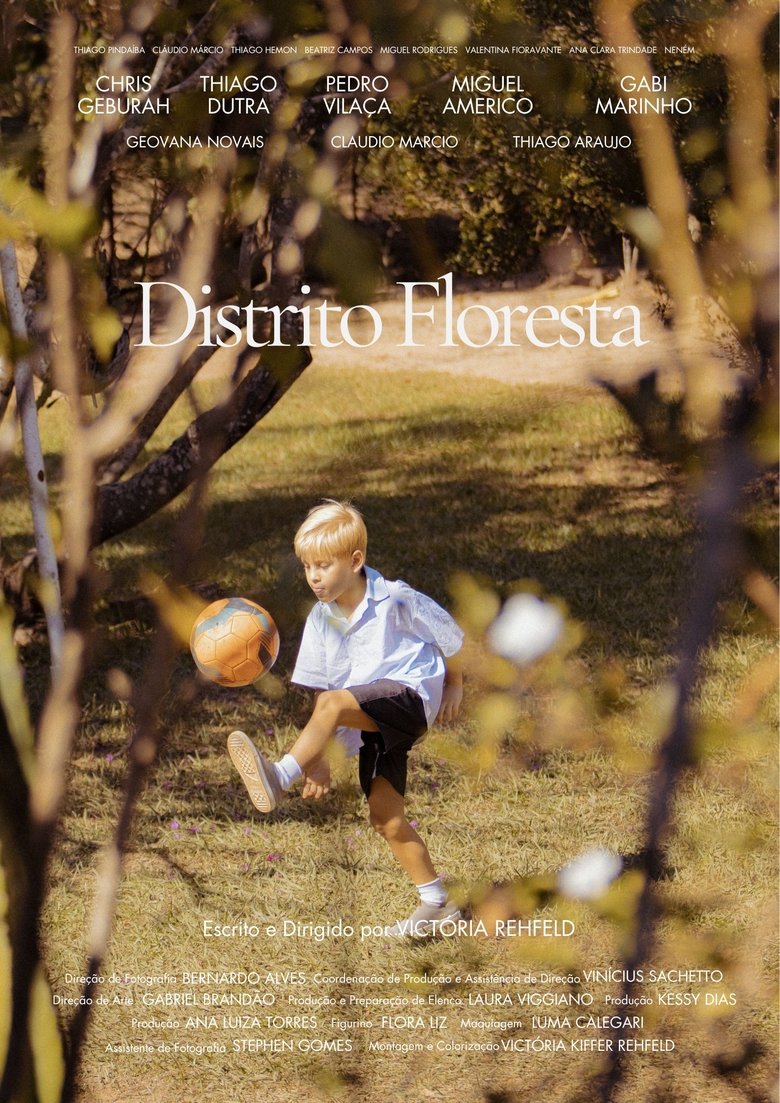 Poster of Distrito Floresta