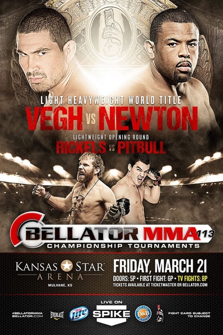 Poster of Bellator 113