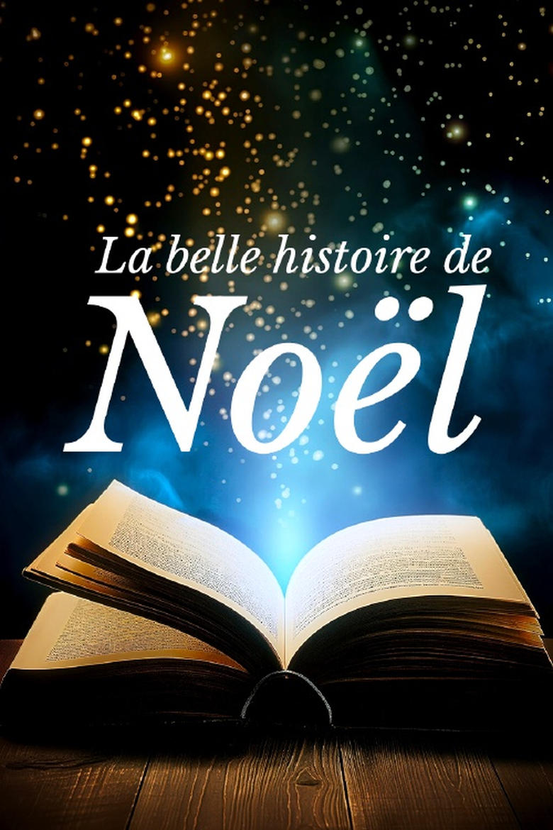 Poster of La belle histoire de Noël