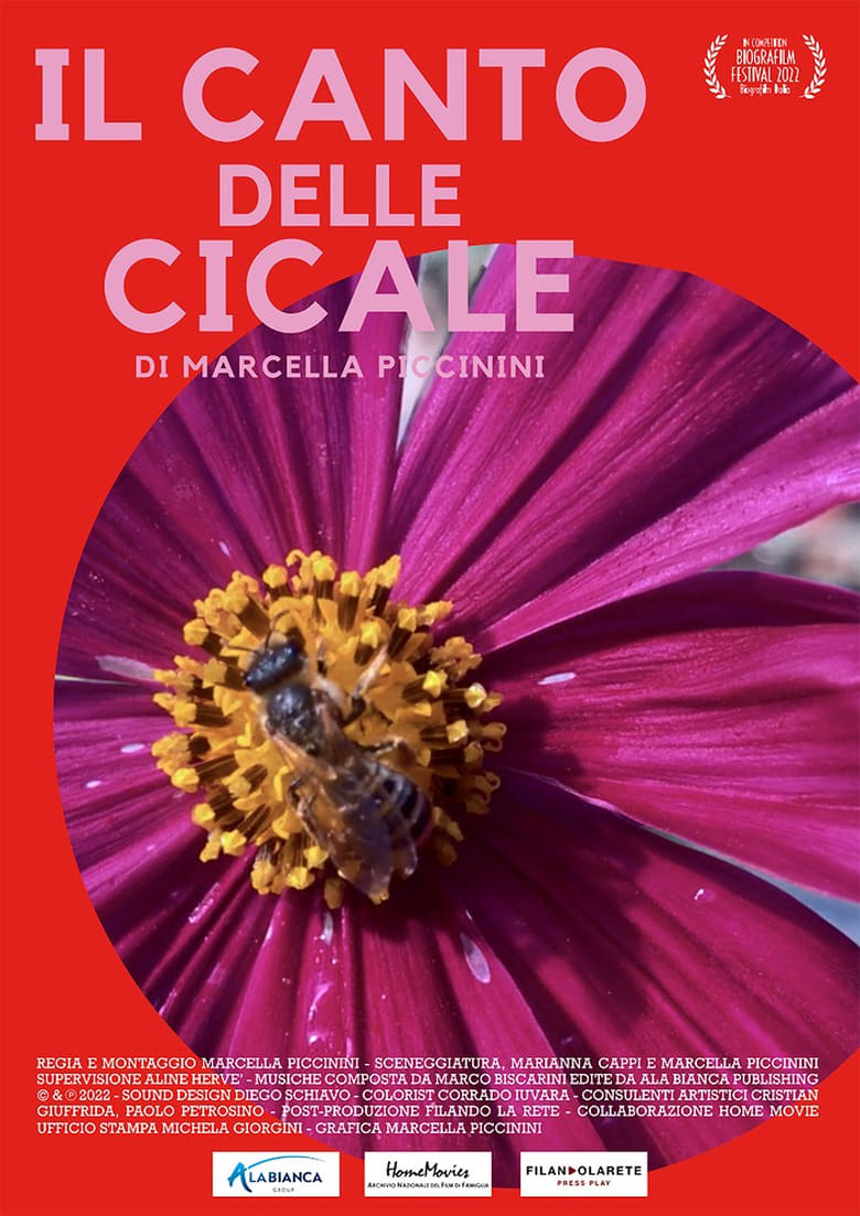 Poster of IL CANTO DELLE CICALE