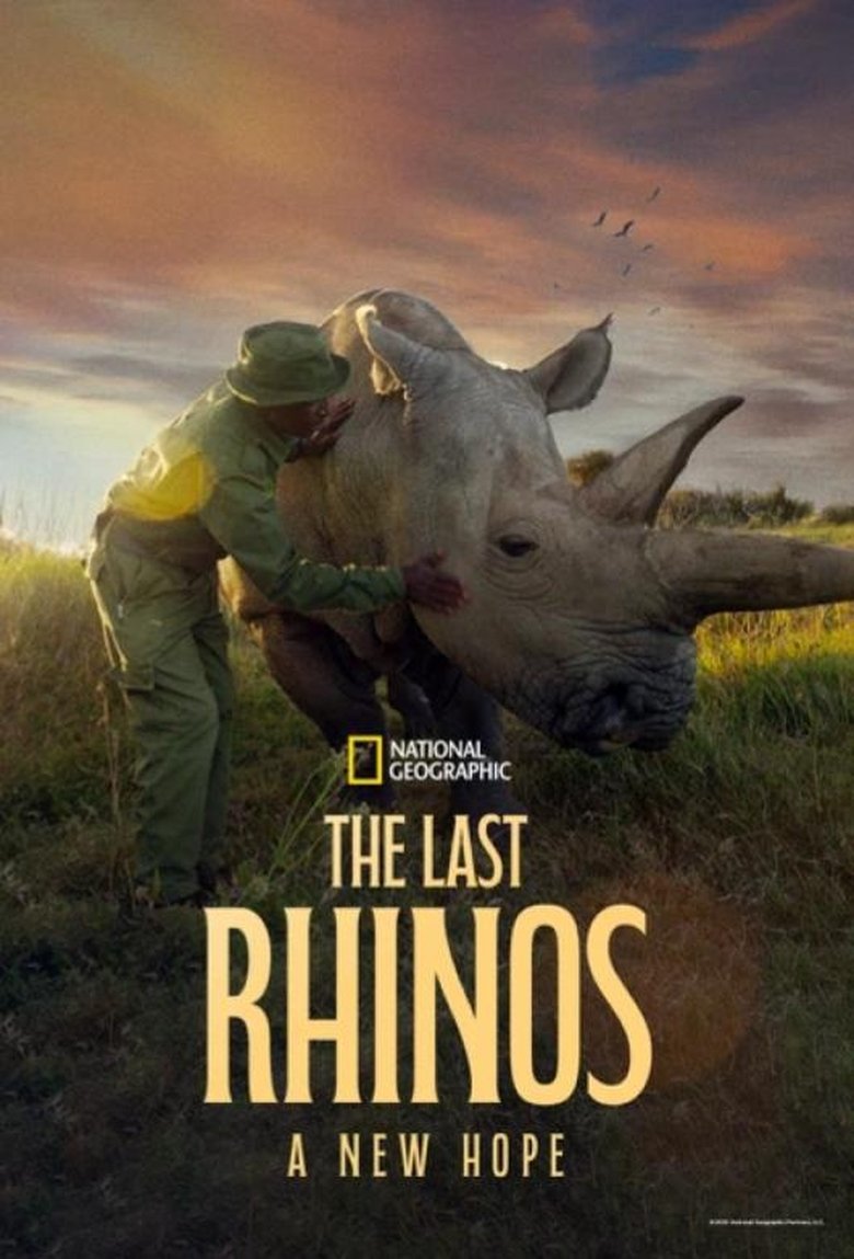 Poster of The Last Rhinos: A New Hope
