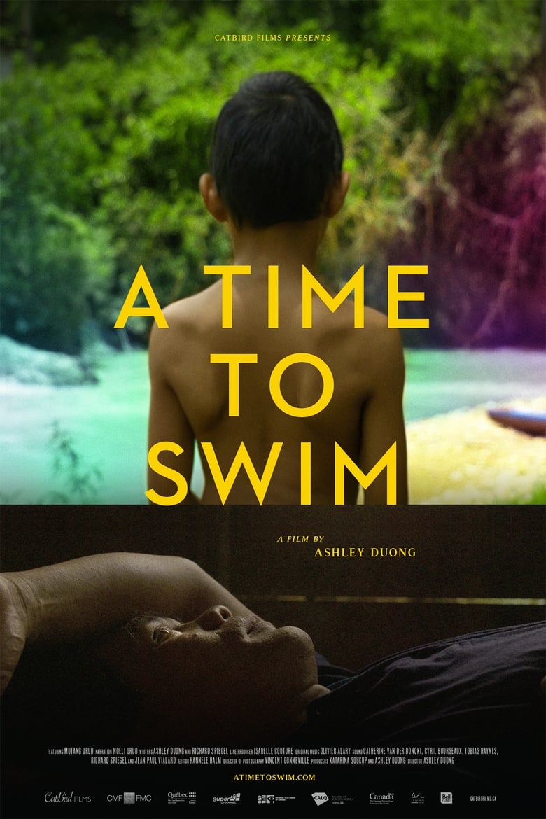 Poster of A Time to Swim